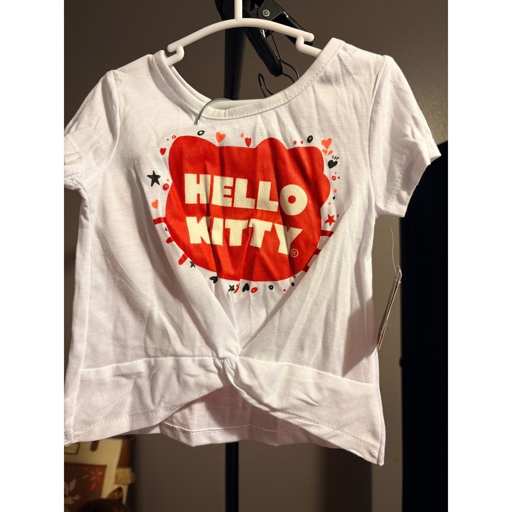 Sanrio Hello Kitty 2 Piece Outfit (short and shirt) Sz 18M
